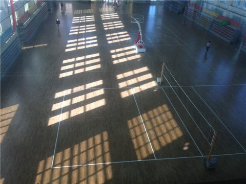 运动木地板将推动行业多元化发展