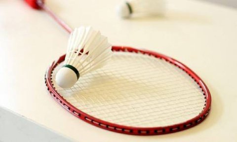 羽毛球馆运动木地板品牌