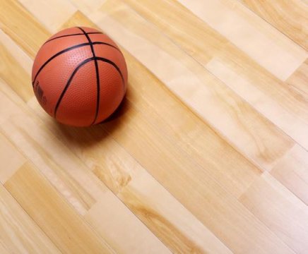 富裕羽毛球木地板量大从优