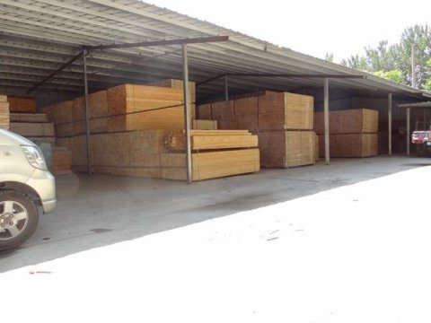 身、心俱健康——体育木地板的使命