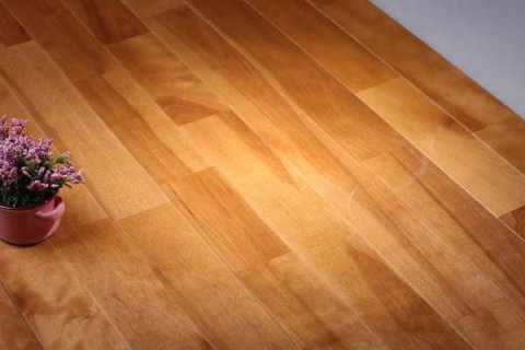 女性告诉你为什么体育馆要铺木地板！