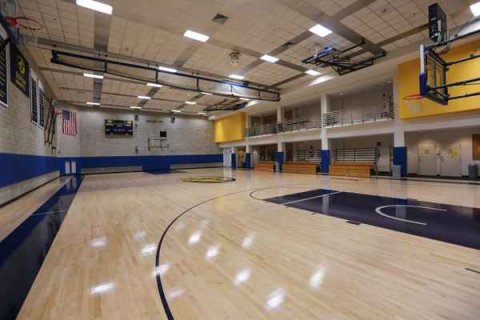 为什么室内体育馆多用运动木地板？