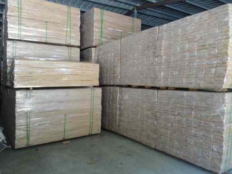 运动木地板，枫木、柞木、枫桦木有何特点