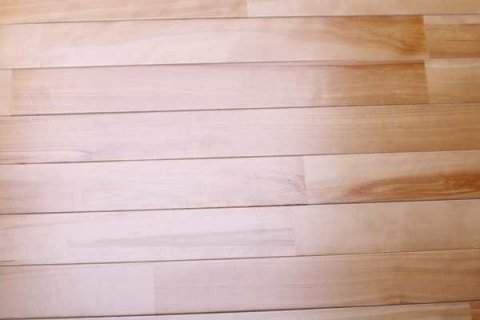 中国女篮教练，许佳敏风彩照人