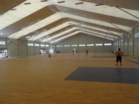 健儿为国争光，品牌运动木地板更给力