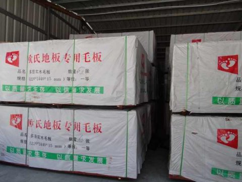 运动木地板素板测试和涂漆