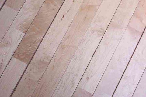 壁球运动发展史