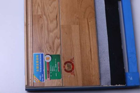 壁球馆投资赚不赚钱，专家来分析