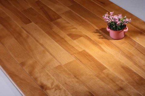 你想建一个标准壁球馆，知道多少钱吗