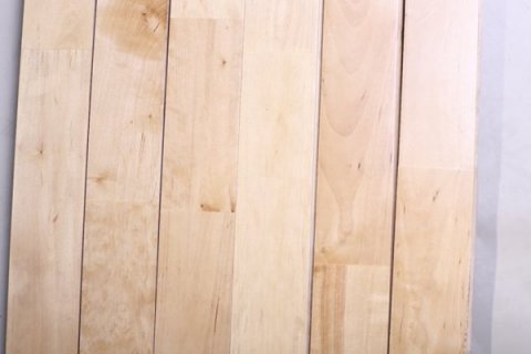 壁球场馆种类和尺寸标准是什么