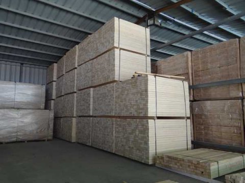 运动木地板为什么广受欢迎