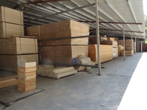 体育木地板养护方法是什么