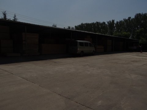 打造运动木地板品牌的武器