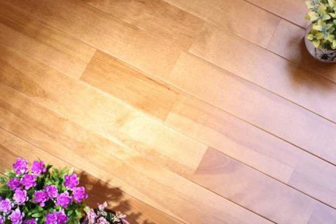 体育木地板天气干燥时怎么养护