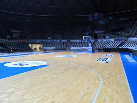 水曲柳材质篮球馆木地板具有哪些特性