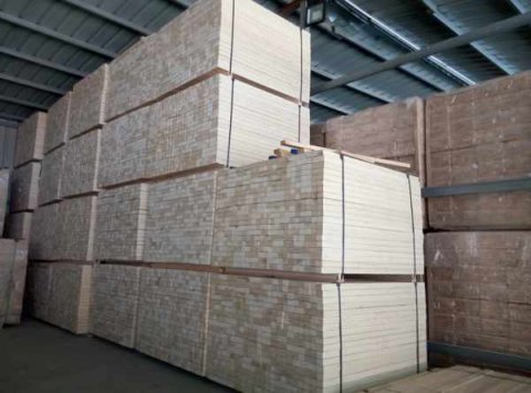 为什么要选择专业体育木地板