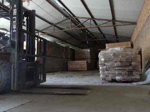 运动木地板您了解吗