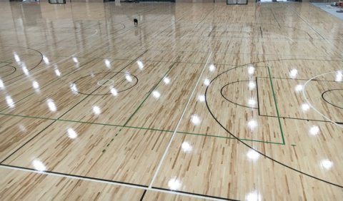 体育木地板如何防虫