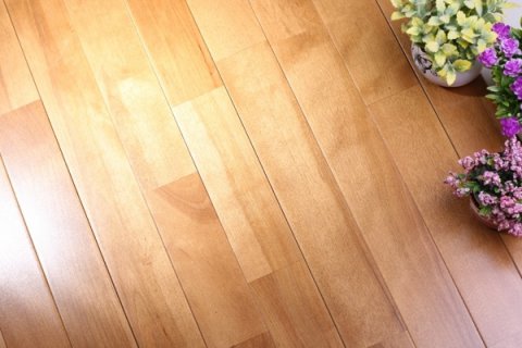 体育木地板保养误区有哪些