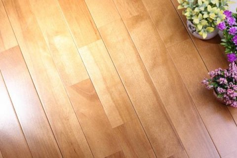 体育木地板怎么选