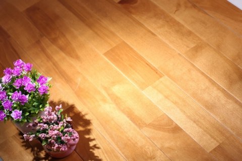 室内篮球馆怎么样