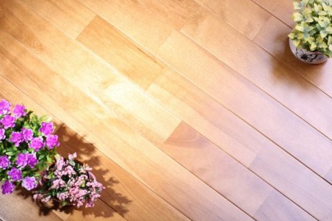 体育木地板日常养护细节有哪些