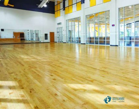 沈阳运动地板品牌排名