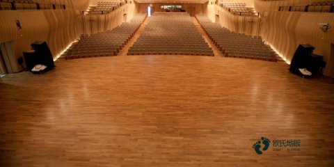 体育馆木地板生虫原因是什么