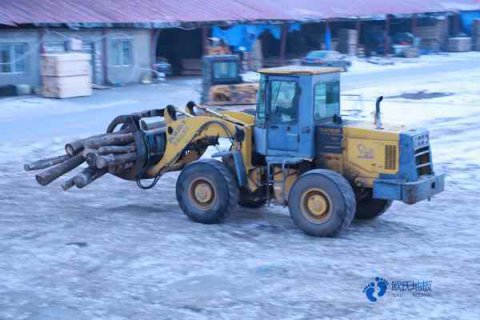 哈尔滨原木地板多少钱一平