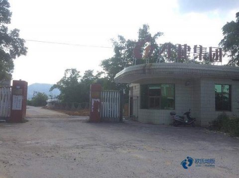 哈尔滨悬浮运动地板多少钱