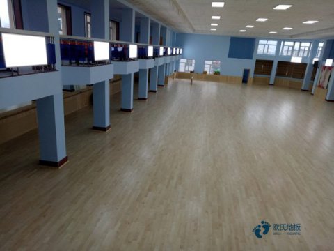葫芦岛体育枫木运动地板