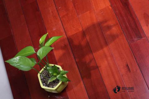 大庆运动悬浮地板报价