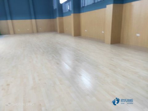 常德运动木制地板