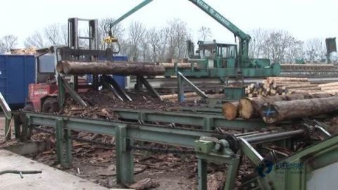 运动木地板养护细节是什么