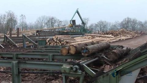 踩着运动木地板来狂欢