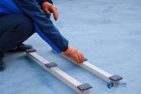 运动木地板枫木和柞木材质有什么区别