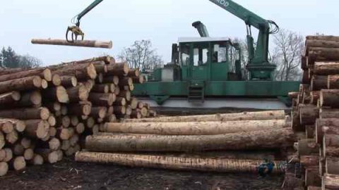 鞍山更环保的木地板品牌