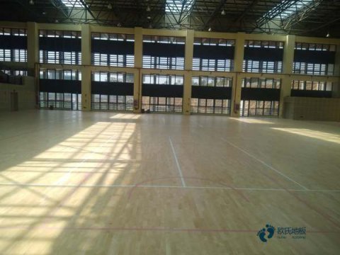 呼和浩特网上联系运动地板