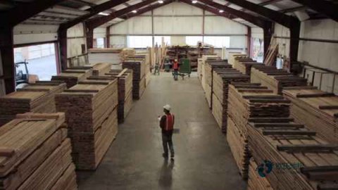 兰州运动木地板哪家品牌更好