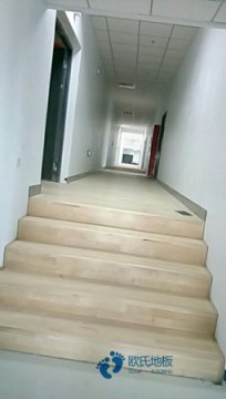 鞍山运动运动地板价格