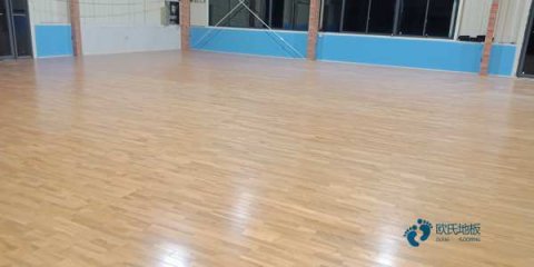 葫芦岛运动型地板