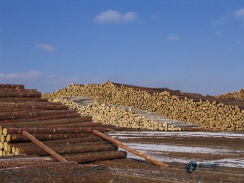 葫芦岛运动实木地板翻新