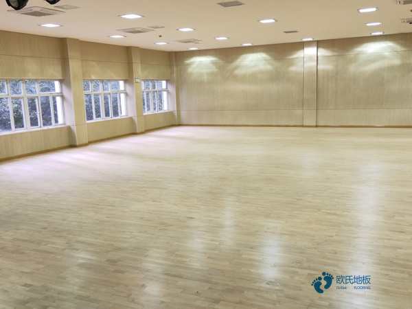 有哪些一般运动场馆地板
