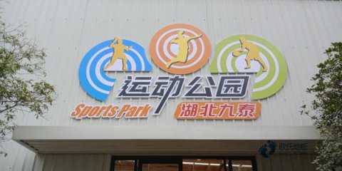 有哪些专业运动型地板