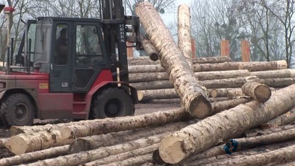 寻求运动场地地板品牌有哪些