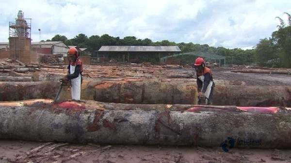 寻求运动场地地板品牌有哪些