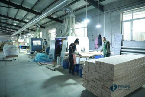 运动木地板原木新地在越南