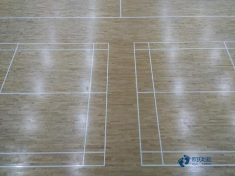 篮球场木地板生虫了怎么办