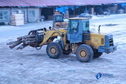 运动木地板密度有什么意义