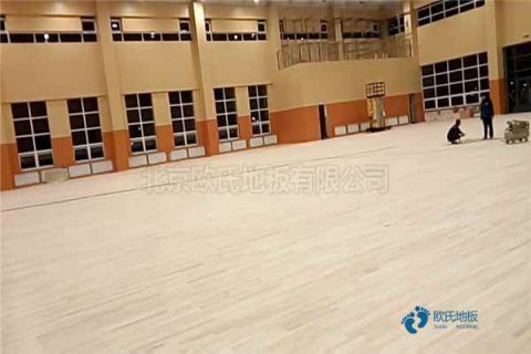 运动木地板白蚁害处大